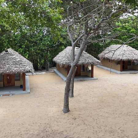 Peanut Farm Surf And Wild Resort - Arugambay Arugam Bay Exterior photo