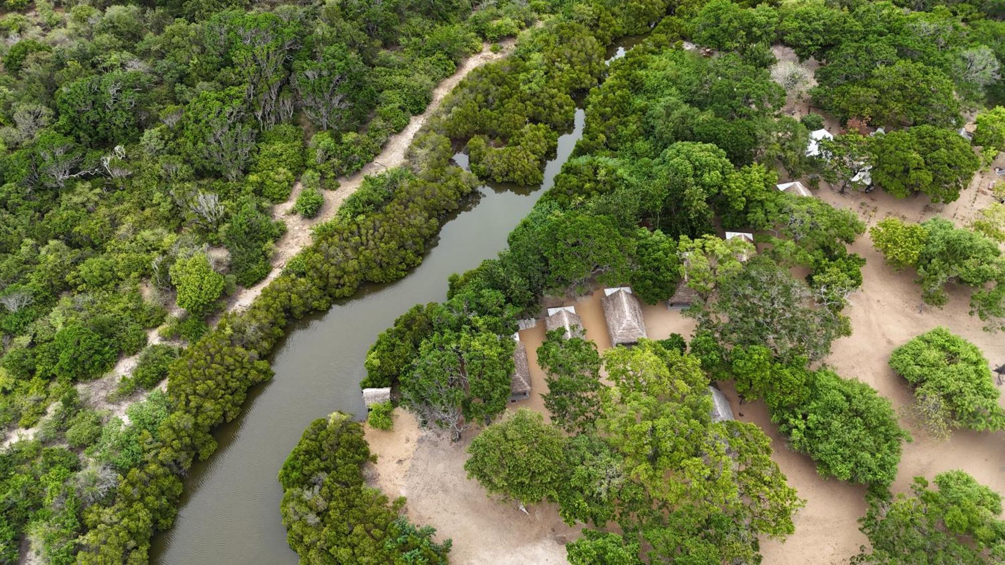 Peanut Farm Surf And Wild Resort - Arugambay Arugam Bay Exterior photo