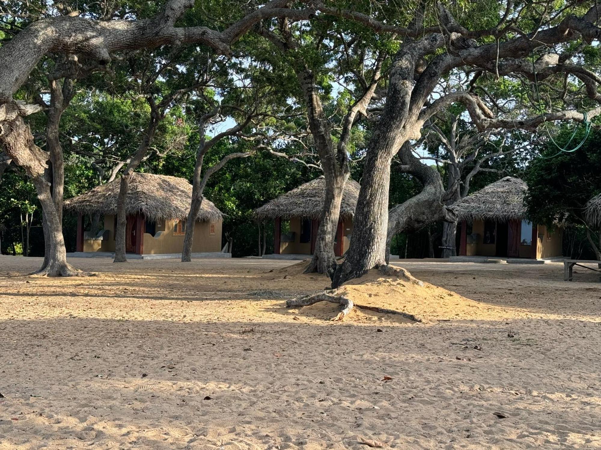 Peanut Farm Surf And Wild Resort - Arugambay Arugam Bay Exterior photo