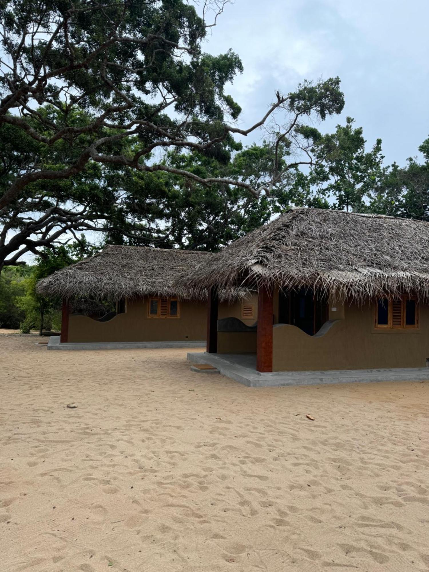 Peanut Farm Surf And Wild Resort - Arugambay Arugam Bay Exterior photo